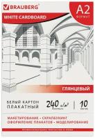 Картон белый большого формата, А2 мелованный (глянцевый), 10 листов, в папке, BRAUBERG, 400х590 мм, 124764