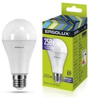 Светодиодная лампочка Ergolux LED-A65-25W-E27-6K