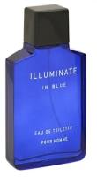 Marc Bernes Мужской Illuminate in Blue Туалетная вода (edt) 100мл