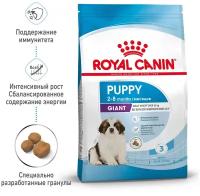 ROYAL CANIN GIANT PUPPY для щенков крупных пород (15 + 15 кг)