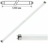 Лампа люминесцентная PHILIPS TL-D 36W/33-640, 36 Вт, цоколь G13, в виде трубки 120 см В комплекте: 1шт