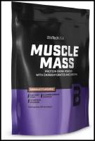 Muscle MASS Biotech 1000 gr, 18 порции(й), шоколад