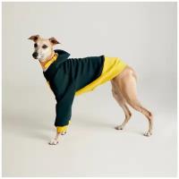 WOOFLER / Толстовка для Уиппета, худи из футера для борзых, зимняя одежда для собак мелких и средних пород, желто-зеленый М44