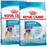 ROYAL CANIN GIANT JUNIOR для щенков крупных пород (3,5 + 3,5 кг)