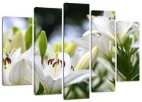 Модульная картина Белые лилии 80х140 см