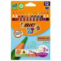 Карандаши цветные утолщенные BIC "Kids Evolution Triangle", 12 цветов, пластиковые, трехгранные, картонная упаковка, 8297356