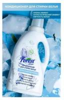 FOREST CLEAN Кондиционер для стирки белья "Морозная свежесть" 1 л