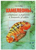 Хамелеоны. Содержание и разведение в домашних условиях