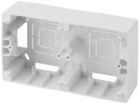 Коробка для накладного монтажа 2-постовая ЭРА 12 12-6102-01 Б0043170