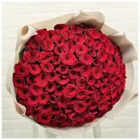 Роза 60 см красная 101 шт