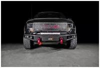 Решетка радиатора BMS RAPTOR для Форд Ф-150 Раптор 2009-2014