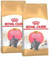 ROYAL CANIN BRITISH SHORTHAIR KITTEN 34 для британских короткошерстных котят (0,4 + 0,4 кг)