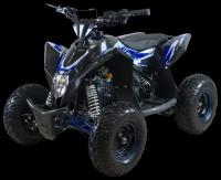 Детский квадроцикл Motax GEKKON 90cc (Черно-синий)