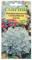 Семена цветов Цинерария приморская "Серебряная пыль", 0,05 г .3 уп