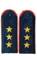 Погоны МВД (Полиция) генерал-полковник, темно-синие, красный кант, вышивка канитель золото 3%, на картоне