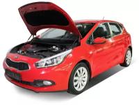 Упор капота 2шт, крепеж в комплекте KIA Ceed II 12 автоупор UKICEE012