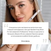 Гель для бровей PUSY прозрачный фиксирующий невидимый с эффектом ламинирования для долговременной укладки, 15 мл