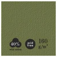 Бумага для пастелей Лилия Холдинг "Палаццо" 350х500 мм "Dark jungle" (тёмные джунгли ) 10л 160г