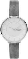 Мужские наручные часы Skagen SKW3016