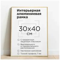 Фоторамка 30х40см, матовая, цвет золото, рамка для постера, картины, плаката, алюминиевый профиль Нильсен, творчество в интерьере