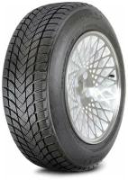 Шины зимние Landsail Winter Lander 205/55 R16 91 H