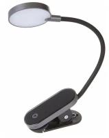 Лампа для чтения на прищепке Baseus Comfort Reading Mini Clip Lamp - Темно-серая (DGRAD-0G)