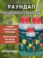 Раундап от сорняков Средство от сорняков Раундап 2,5л