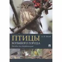 Пособие для бердвотчеров Проспект Птицы большого города. 2022 год, Евсеев А