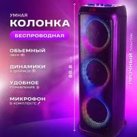 Колонка большая напольная DSP RX-8301 с микрофоном караоке