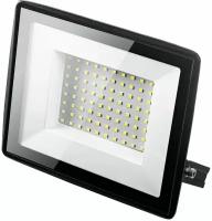 Прожектор светодиодный STAYER LED Pro 57131-100