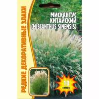 Семена Мискантуса Китайского (Miscanthus Chinensis) (0.01 г)