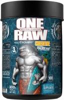 Креатин ZOOMAD RAW One Creatine - 300гр, Фруктовый пунш, банка