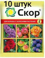 Препарат от болезней растений Скор 10шт по 2мл