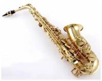 Альт-саксофон Stephan Weis AS-100G Супер комплект для начала обучения!