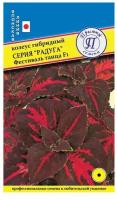 Семена / Престиж Семена/ Семена цветов колеус гибридный радуга фестиваль танца F1