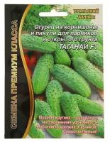 Семена Огурец "Таганай" F1 ультраранний, партенокарпический, для открытого грунта, 5 шт