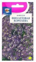 Семена цветов Алиссум "Фиолетовая королева", 0,1 г