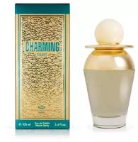 Christine Darvin Parfums Женский Charming Туалетная вода (edt) 100мл