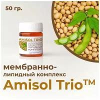 Amisol Trio / Амисол Трио МЛК - мембранно - липидный комплекс, 50 гр, США