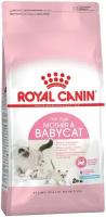 Royal Canin корм для котят и кошек всех пород в период беременности (2 кг)