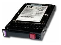 EG0300FBDBR HP Жесткий диск HP 300GB 6G SAS 10K-rpm [EG0300FBDBR]