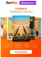 ЛитРес Абонемент на 12 месяцев электронный ключ