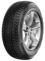 Автошина Nexen Winguard Ice Plus 195/55 R16 91T