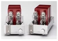 Усилитель мощности Triode TRV-M300SE