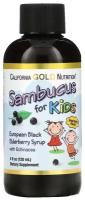 Children Sambucus Elderberry Syrup, 4 fl oz (120 ml)