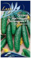 Семена Огурец Настоящий полковник F1 0,25г для дачи, сада, огорода, теплицы / рассады в домашних условиях