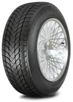 Landsail Winter Lander 225/45 R17 H94