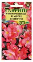 Семена Гавриш Бегония вечноцветущая Аккорд Пурпурная F1, гранулы, пробирка, 5 шт