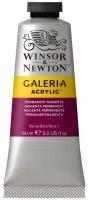 Winsor & Newton Краска акриловая художественная Galeria, 60 мл, permanent magenta