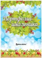 Листы-вкладыши для портфолио школьника, 14 разделов, 16 листов, "Окружающий мир", BRAUBERG, 126896